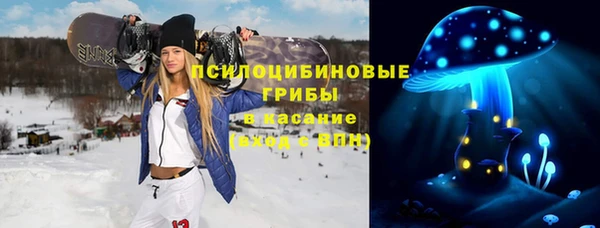 прущие грибы Алексин