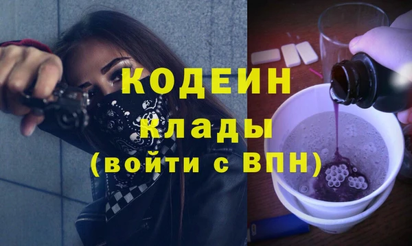 шишки Абаза