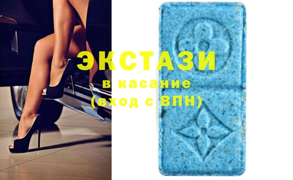шишки Абаза