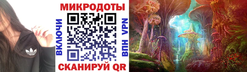 сколько стоит  Калач  Псилоцибиновые грибы GOLDEN TEACHER 
